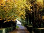 Villeparisis