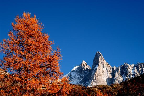 Massif du Mont-Blanc