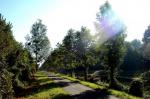 Villeparisis