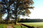 Lagny