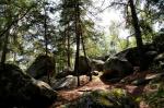 Fontainebleau