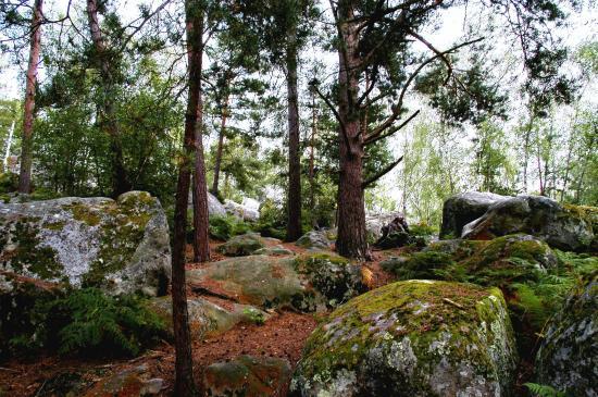 Fontainebleau