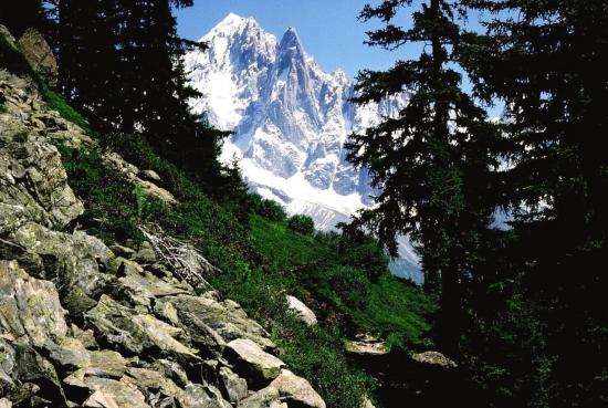 Massif du Mont-Blanc